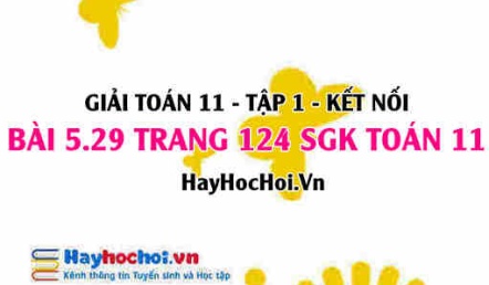 Giải bài 5.29 trang 124 Toán 11 tập 1 SGK Kết nối tri thức